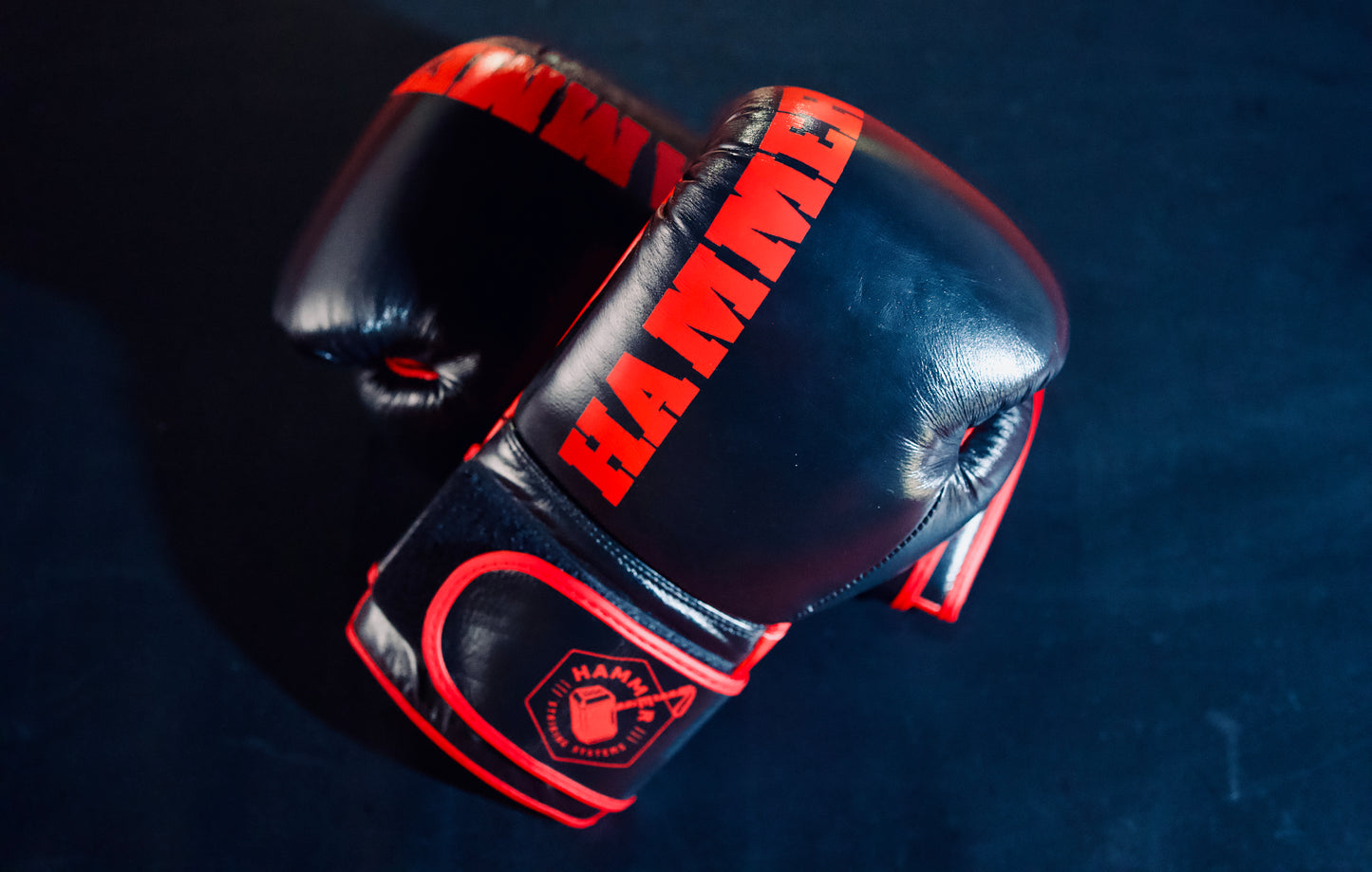 HSS2 Gloves