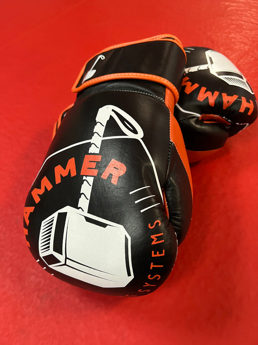 HSS1 Boxing Gloves